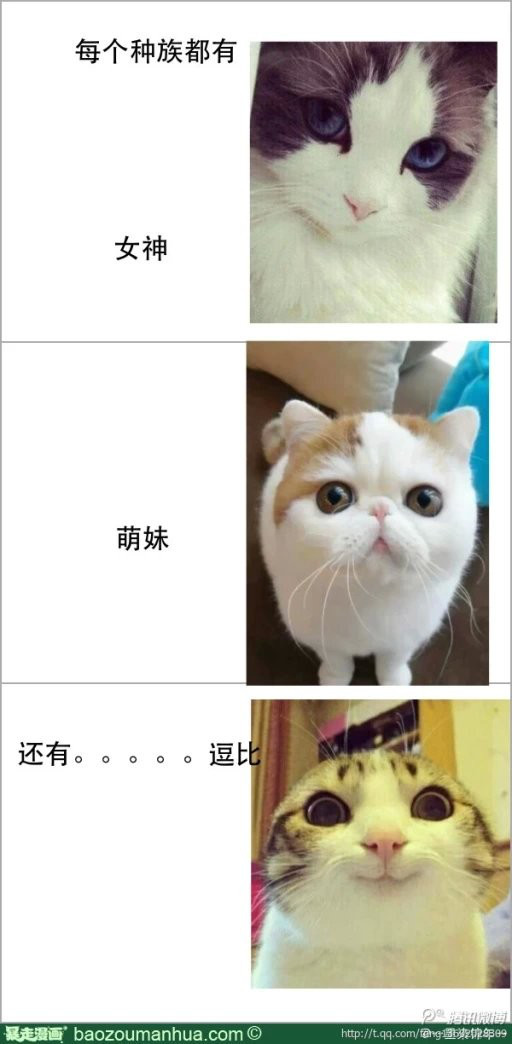 07 第7张
