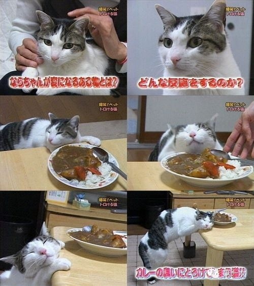 10 第10张